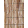 Bamboo Fence 10mm-35mm de alta qualidade